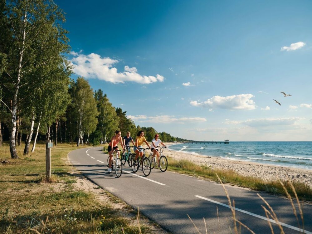 widok na morze z trasy rowerowej